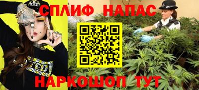 Альфа ПВП Моздок