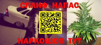 Альфа ПВП Моздок