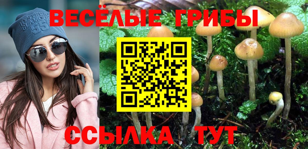 Галлюциногенные грибы Psilocybe  Вход с VPN  Вышний Волочёк 