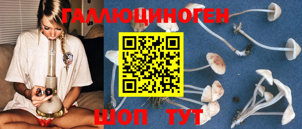 Галлюциногенные грибы Cubensis Вышний Волочёк